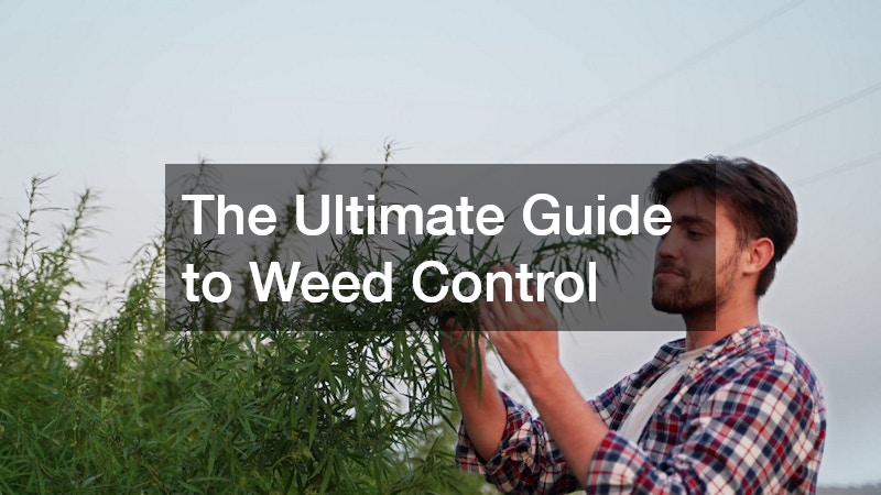 The Ultimate Guide to Weed Control